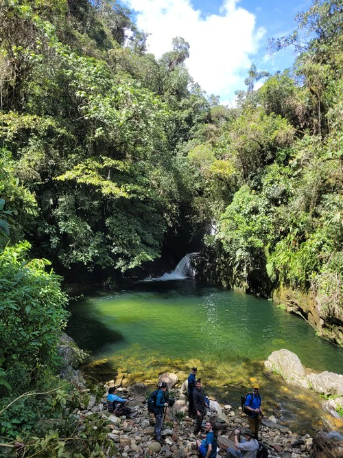 Natural pool in the middle of the jungle, with green crystal water and a small waterfall